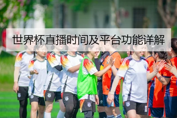 世界杯直播时间及平台功能详解