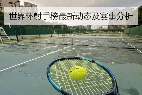 世界杯射手榜最新动态及赛事分析