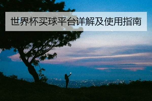 世界杯买球平台详解及使用指南