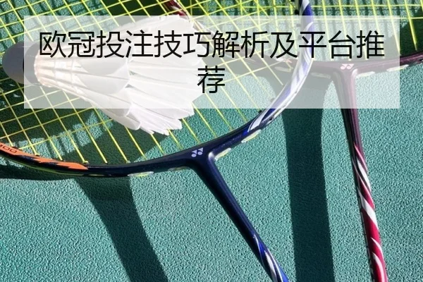 欧冠投注技巧解析及平台推荐
