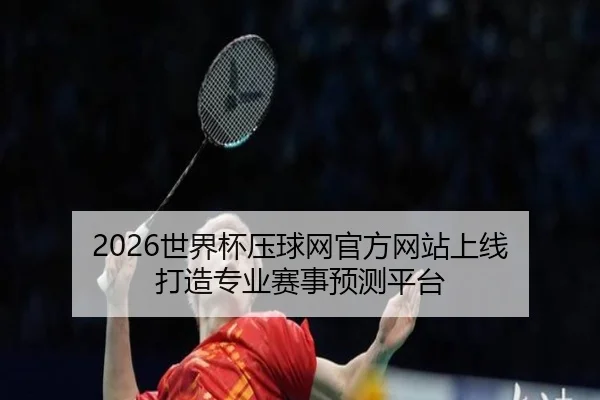 2026世界杯压球网官方网站上线 打造专业赛事预测平台