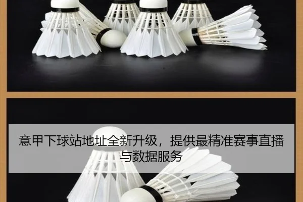 意甲下球站地址全新升级，提供最精准赛事直播与数据服务